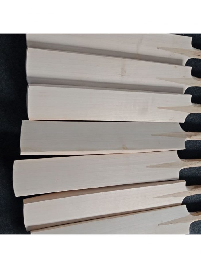 EN WORRIER INDOOR CRICKET BAT