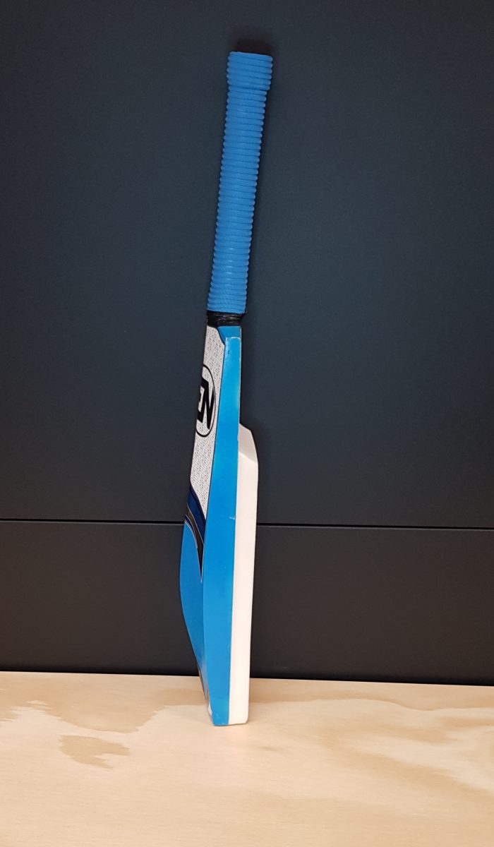 EN-Catch Bat
